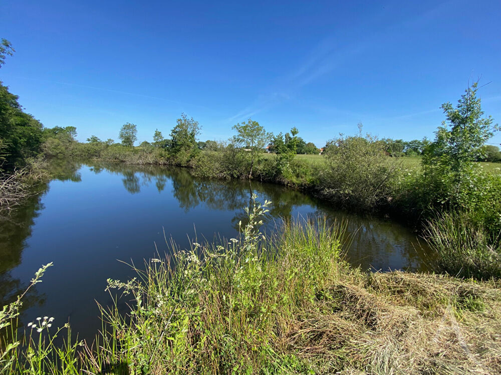Vente Terrain Terrain de loisir Montaigu Vendee Montaigu vendee