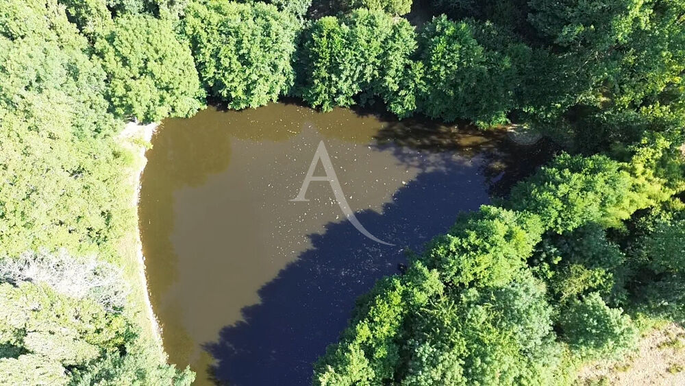 Vente Terrain UN VÉRITABLE HAVRE DE PAIX AU POIRÉ-SUR-VIE ! Le poire sur vie