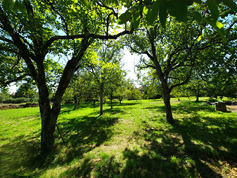 Vente Maison Maison et dépendances proches de Caylus Lacapelle livron