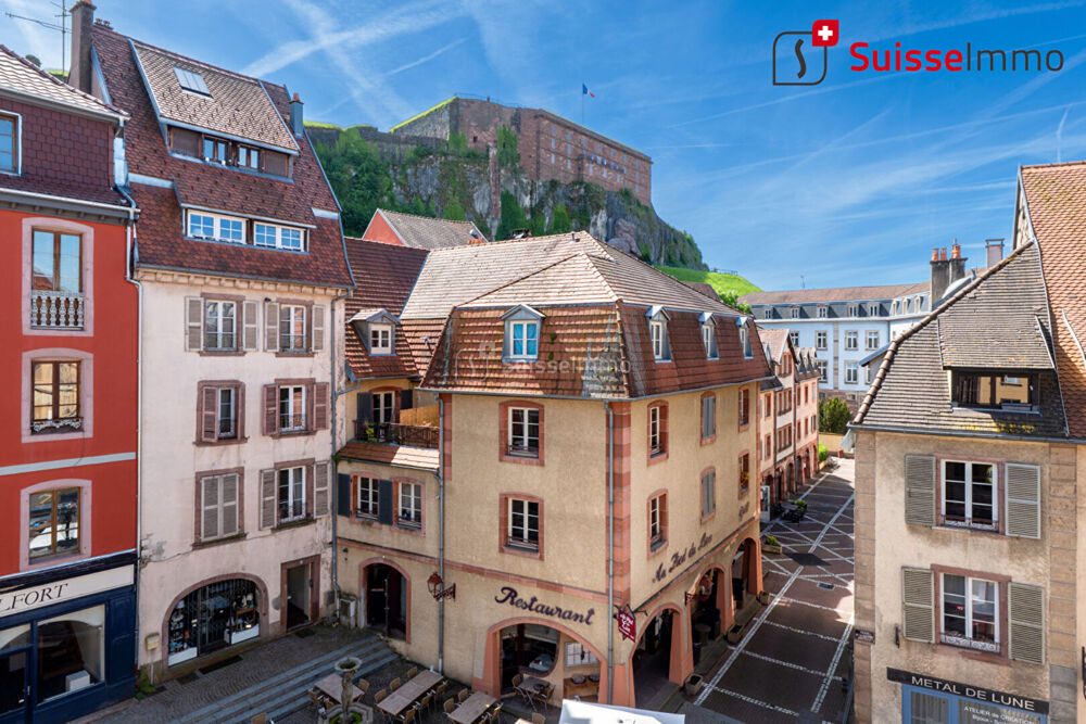 Vieille ville BELFORT 6 pièces, vue sur le lion, 6 pièces