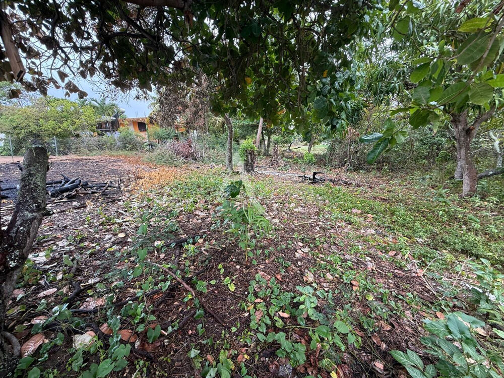 Vente Terrain Terrain rare sur secteur très prisé ! Sainte anne