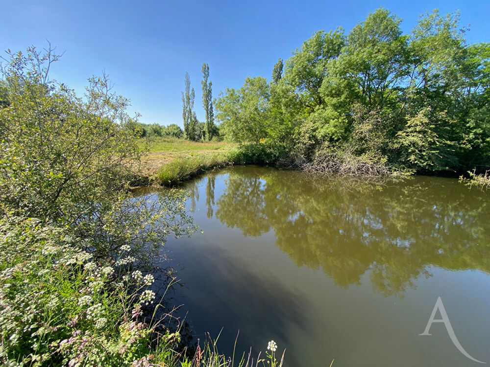 Vente Terrain Terrain de loisir Montaigu Vendee Montaigu vendee
