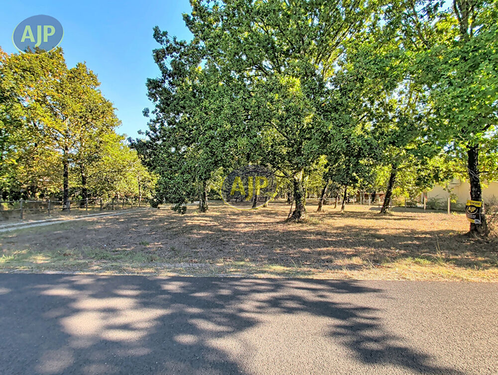 Vente Terrain Terrain de 6155 m² dont 1600 m² de constructible Saint vivien de medoc