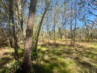  Terrain � vendre 1640 m�