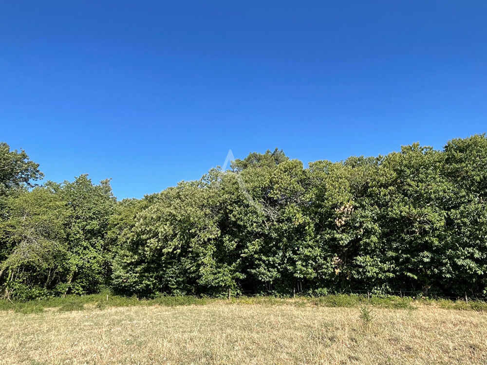 Vente Terrain Bois -  Montagnac-sur-Lède - 24 000 m2 Montagnac sur lede