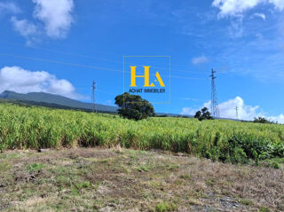  Terrain � vendre 382 m�