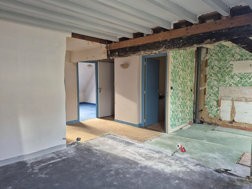 VIEUX LILLE - PLATEAU BRUT EN DUPLEX DE 66 M² LOI CARREZ (95M² AU SOL) - A AMENAGER