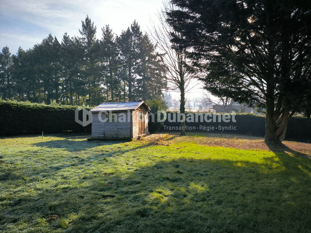 Vente Terrain SAINT VINCENT DE BOISSET - Jolie parcelle de terrain 868 m2 arboré hors lotissement Saint vincent de boisset