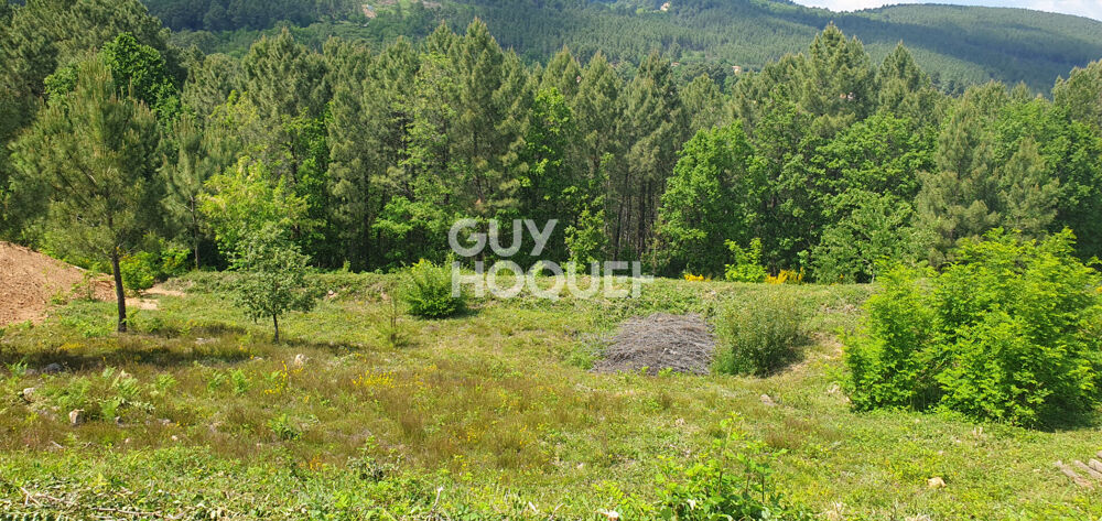 Vente Terrain Magnifique parcelle constructible sur Mercuer Mercuer