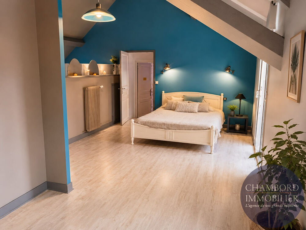 à vendre  Maison Chouzy-sur-Cisse (41150)