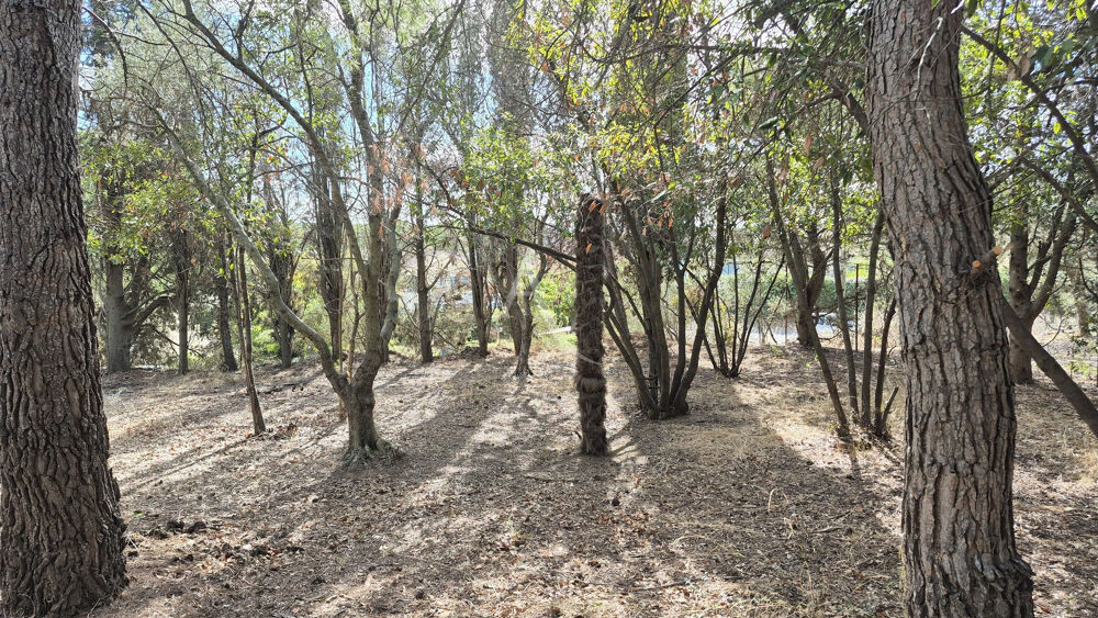 Vente Terrain Terrain Ouveillan 737 m2 arboré et vue agréable Ouveillan