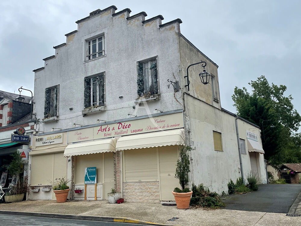   IMMEUBLE COMMERCIAL A VENDRE NANCAY 