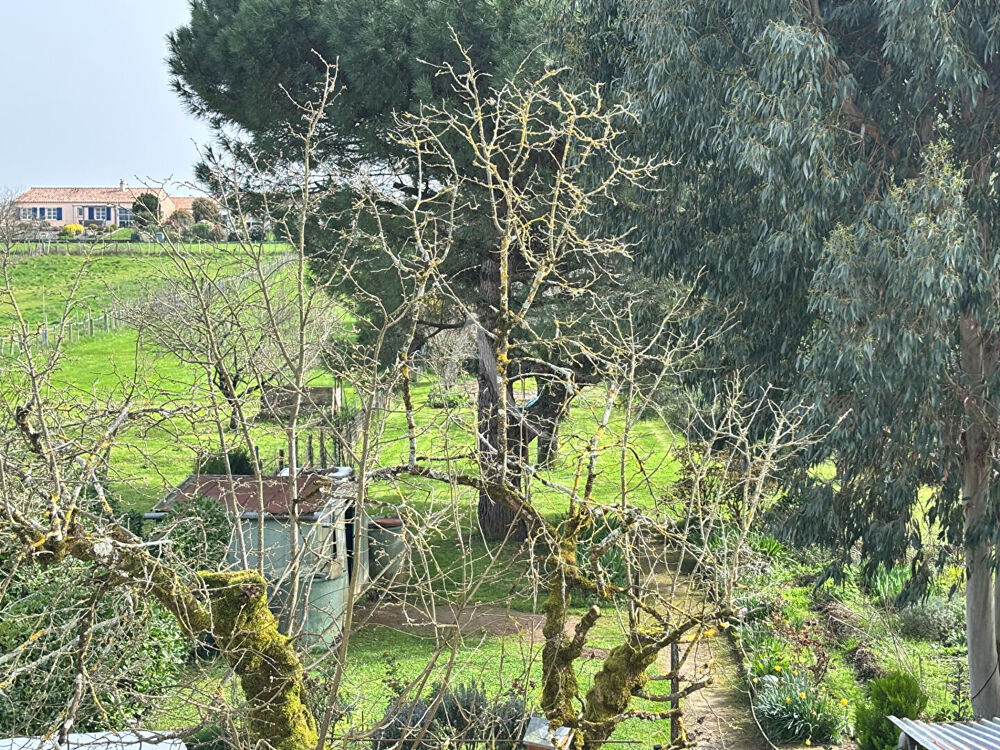 Vente Maison Maison avec beaux volumes à Fontenay le comte Fontenay le comte