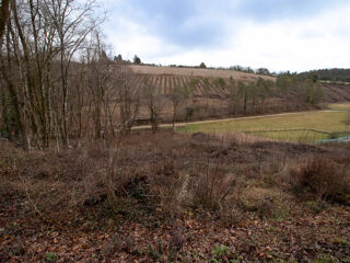  Terrain à vendre 2510 m²