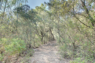  Terrain � vendre 104010 m�