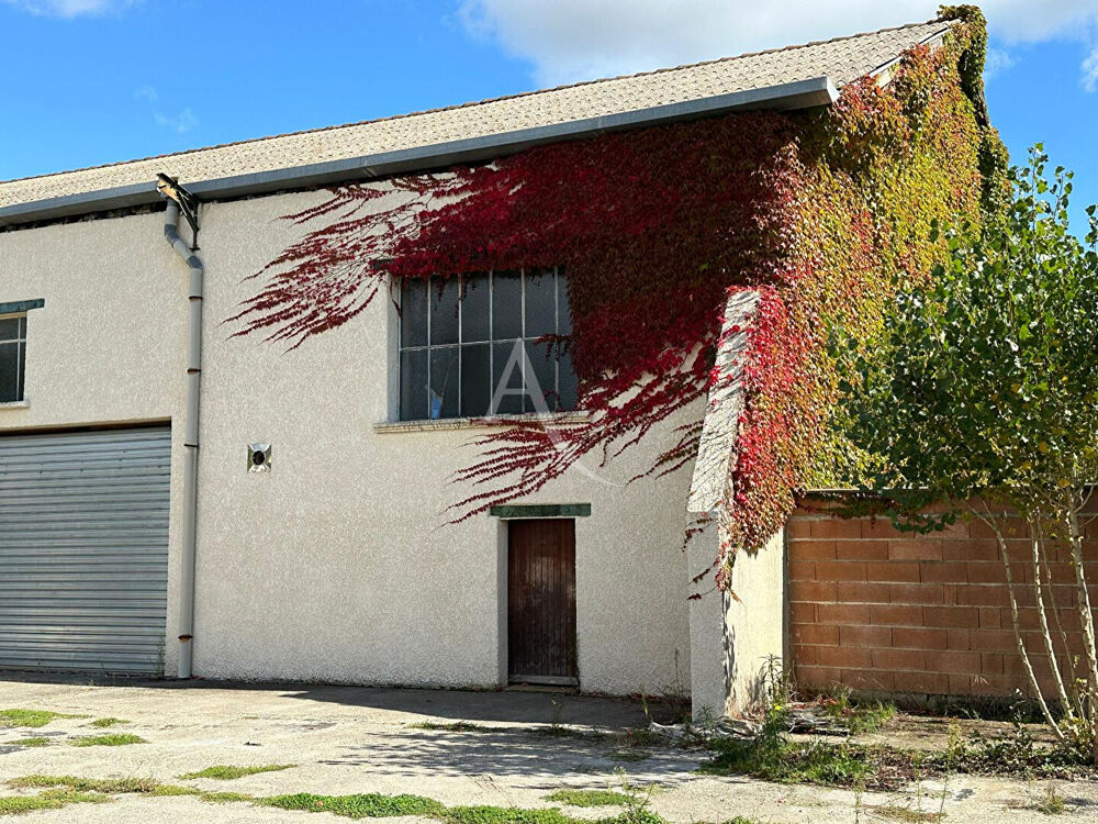 Vente Immeuble Immeuble Bessieres 10 pièce(s) 375 m2 foncier constructible Bessieres
