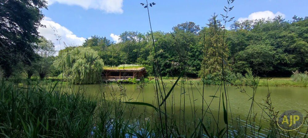 Maison fuste 4 ch avec terrain de 2,5 ha