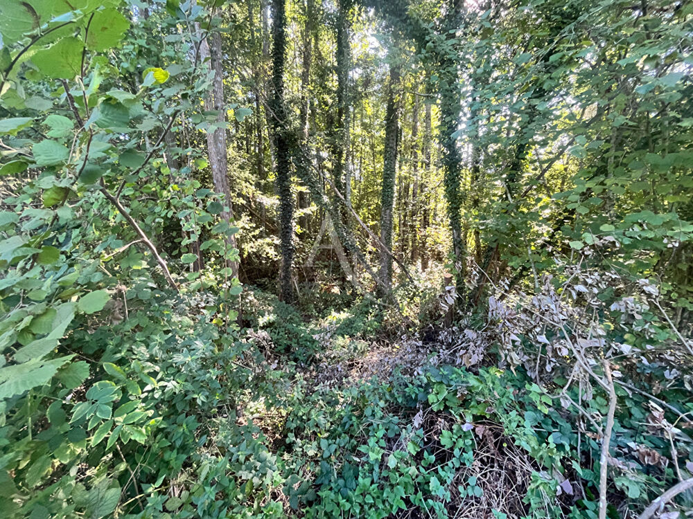 Vente Terrain SAINT MARTIN DE BRETHENCOURT - TERRAIN A BATIR Dourdan