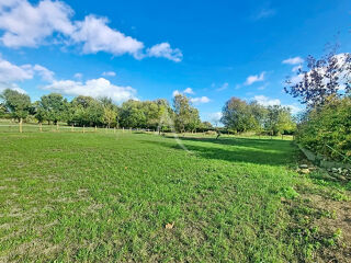 Vente Maison Nouveauté à vendre dans l'île de Chalonnes ! Chalonnes sur loire