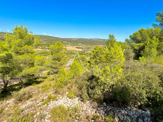  Terrain � vendre 