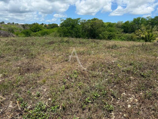 Vente Terrain 779 m²