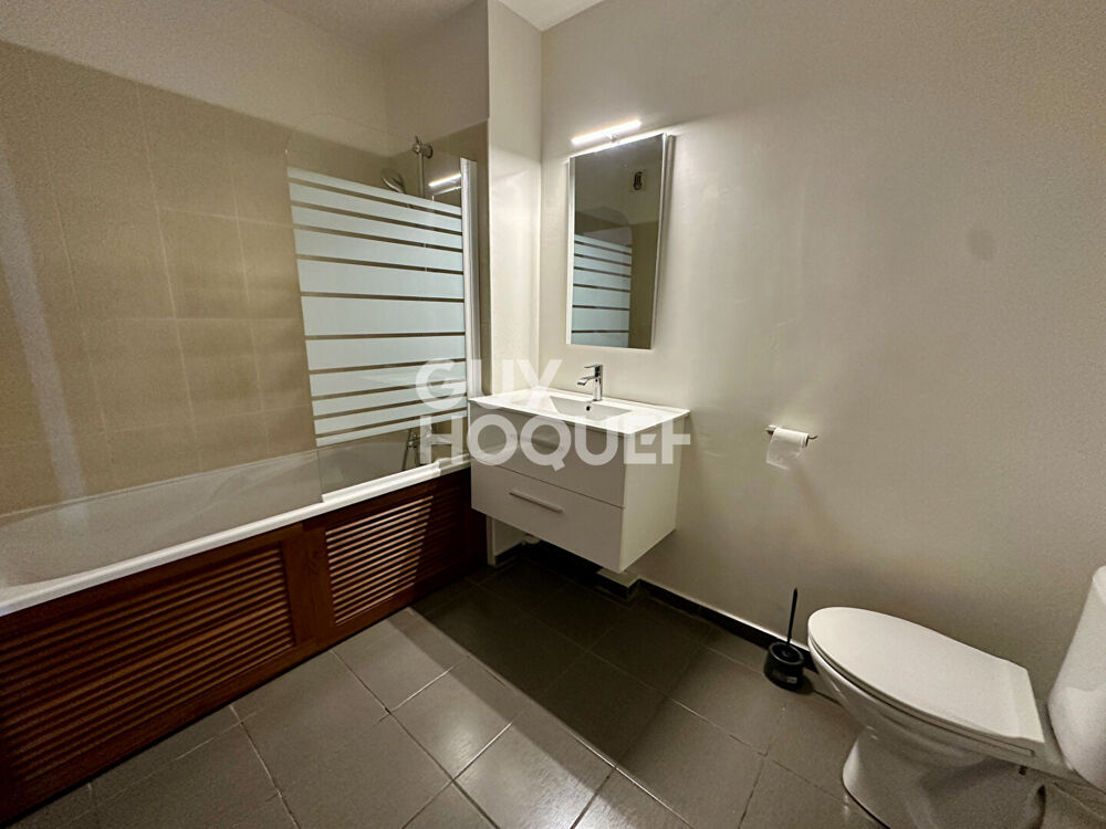 Location Appartement T2 - BAS DE SAINT FRANCOIS Saint denis