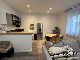  Appartement � louer 2 pi�ces 55 m�