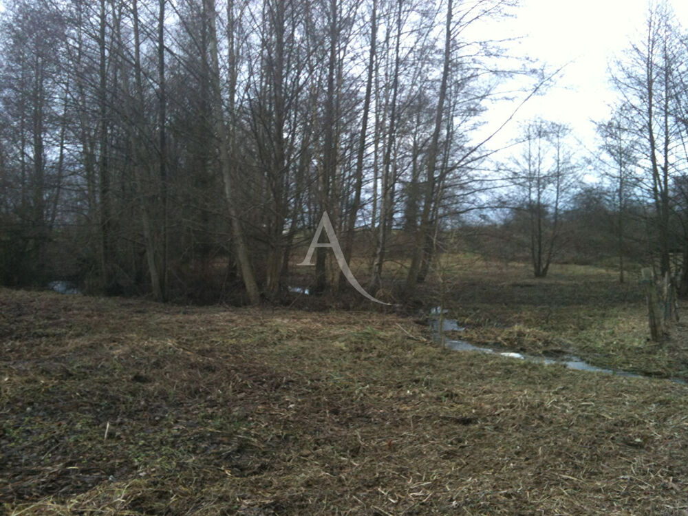 Vente Terrain Terrain de loisirs à 5min de Gournay-en-Bray Gournay en bray