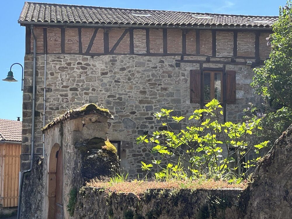 Vente Maison 15 minutes de Figeac, maison en pierre avec possibilités de gîtes indépendants Saint felix