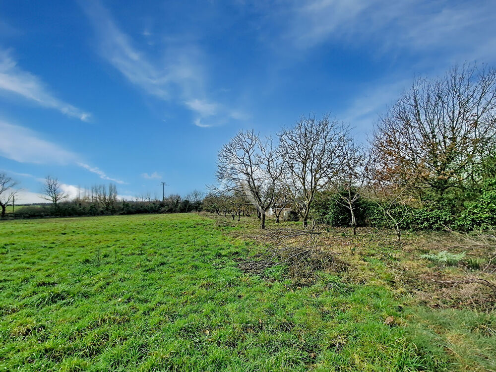 Vente Terrain Terrain Lys Haut Layon 4790 m2 Lys haut layon