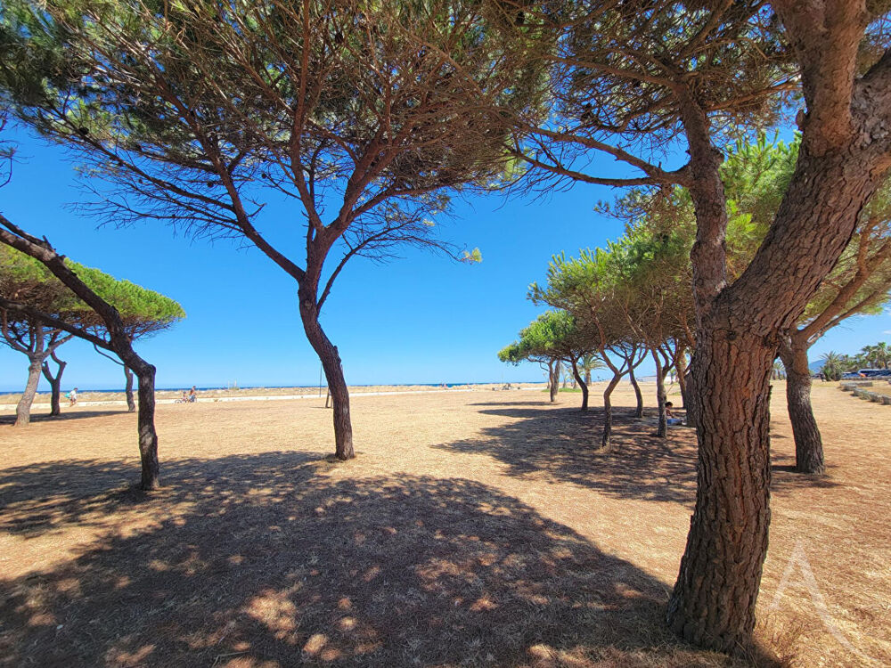 Vente Appartement À deux pas de la plage -  Appartement T2 avec vue mer et parking Saint cyprien