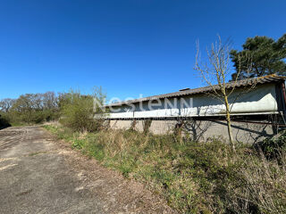  Remise / Grange à vendre 1000 m²