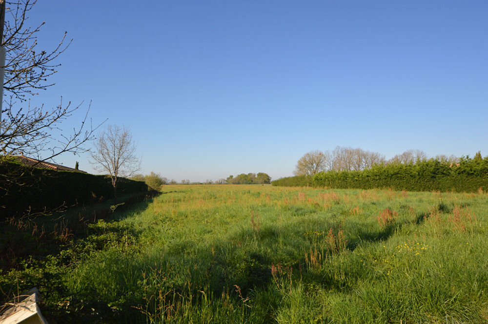 Vente Terrain LOT de 3 Terrains à Bâtir entre Montauban et Castelsarassin Castelsarrasin