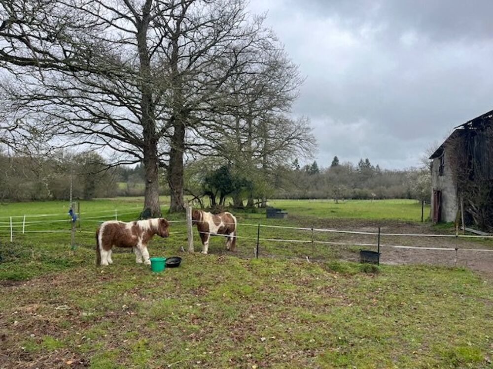 Vente Maison Charmante ferme en pierre avec dépendances et plus de 6 hectares de terrain - idéale pour les passionnés d'équitation Saint laurent sur gorre