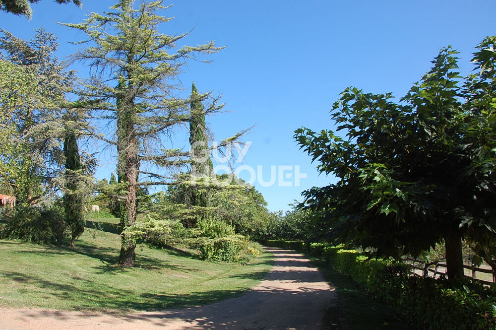Demeure de prestige 11 pièce(s) 580 m2