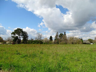  Terrain à vendre 4779 m²