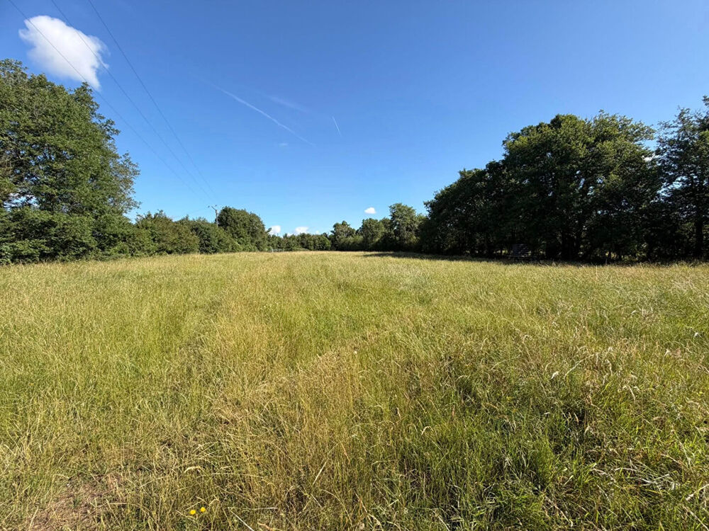 VIENNE - Superbe propriété de campagne avec 1,2 hectare de terrain attenant, piscine et cadre champêtre exceptionnel.