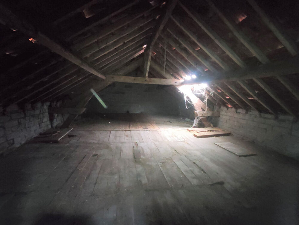 Vente Maison SAINT JEAN DE BRAYE Saint jean de braye