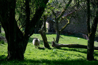  Maison � vendre 5 pi�ces 96 m�