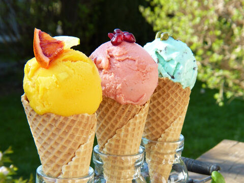 GLACIER TERRASSE REGION AIX 495000 13100 Aix en provence