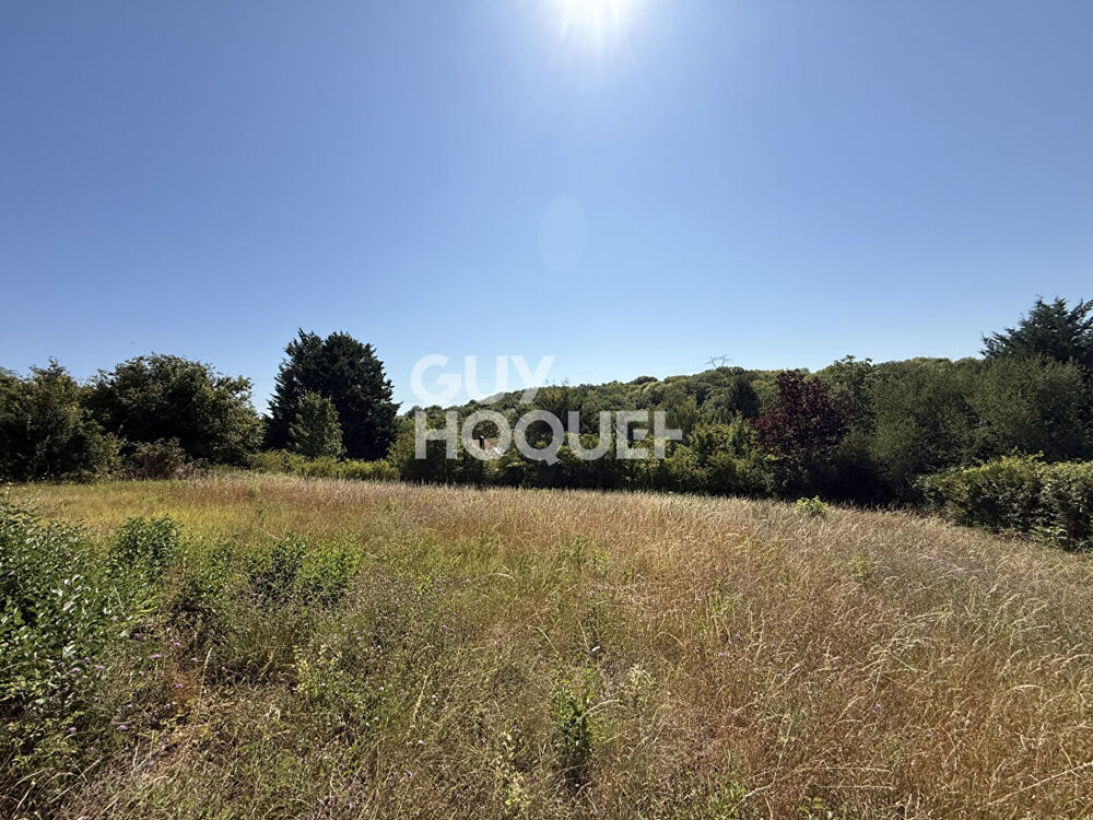 Vente Terrain Terrain Goussonville 1234 m2 Goussonville