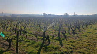  Terrain � vendre 129100 m�