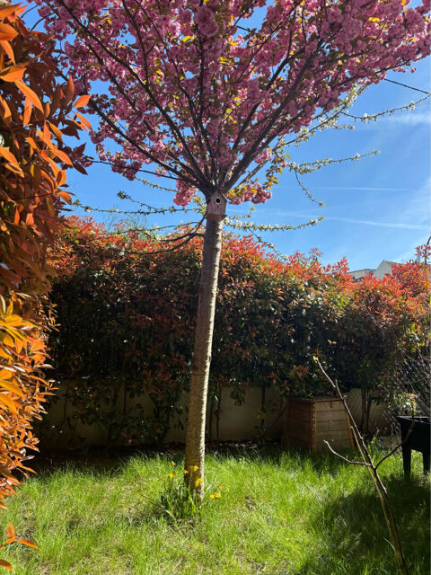  Appartement � louer 4 pi�ces 77 m�