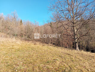  Terrain  vendre 2368 m