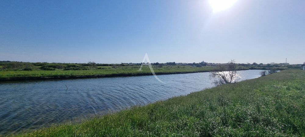 Vente Terrain Terrain de loisir à poissons de plus de 2 hectares Saint hilaire de riez