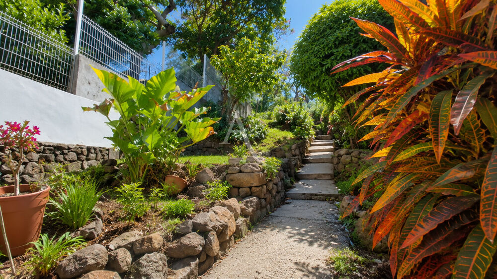 Entre ciel, jardin et mer des Caraïbes.