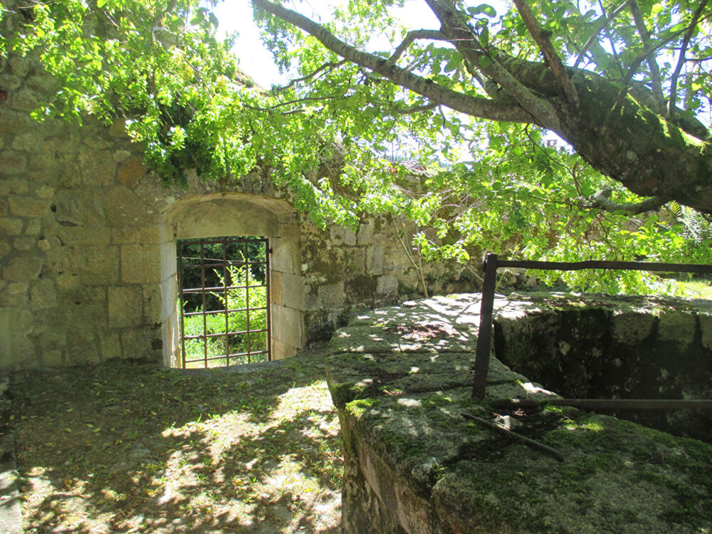 Vente Villa Château historique dominant les gorges de la Dore Thiers