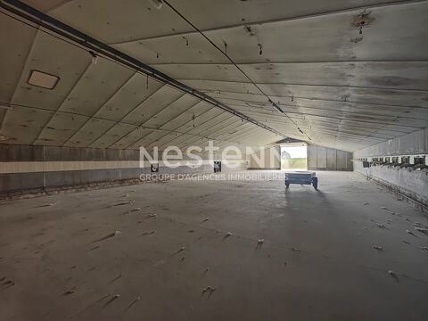   À vendre.  Ensemble de 4 cellules d'activités;  2 000 m² sur terrain de 8 000 m² 