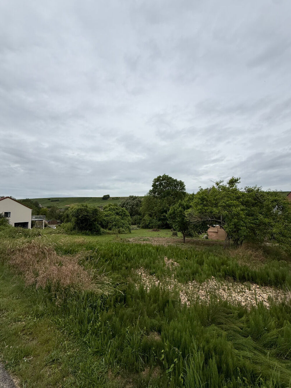 Vente Terrain Terrain à bâtir proche Jonchery Sur Vesle - vue sur la vallée / vignoble - 2100 m2 Jonchery sur vesle