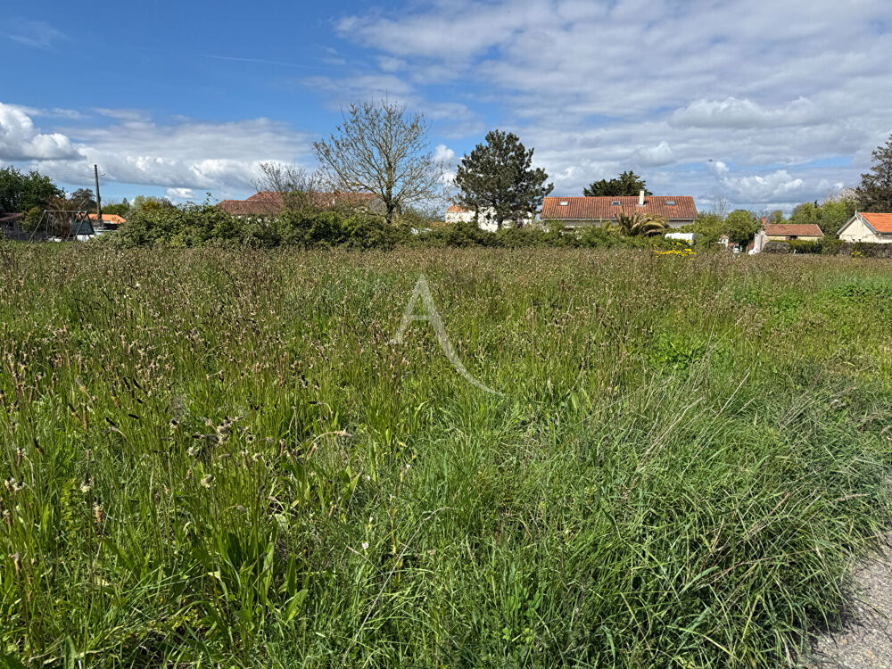 Vente Terrain Terrain La Jonchère 554 m2 La jonchere